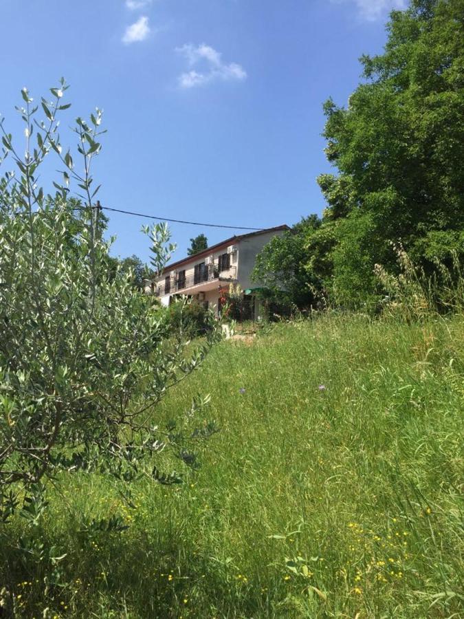 Apartment Dedo, Salara Farmhouse Koper Exteriér fotografie