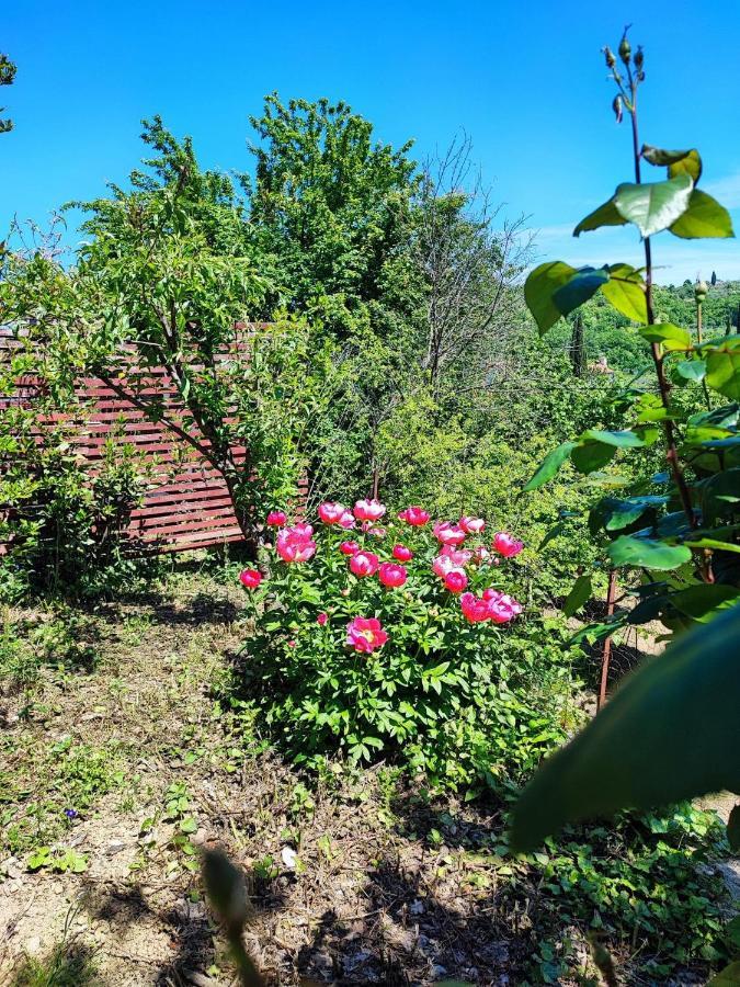 Apartment Dedo, Salara Farmhouse Koper Exteriér fotografie
