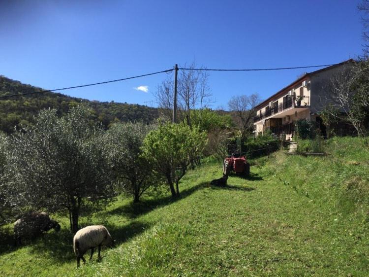 Apartment Dedo, Salara Farmhouse Koper Exteriér fotografie